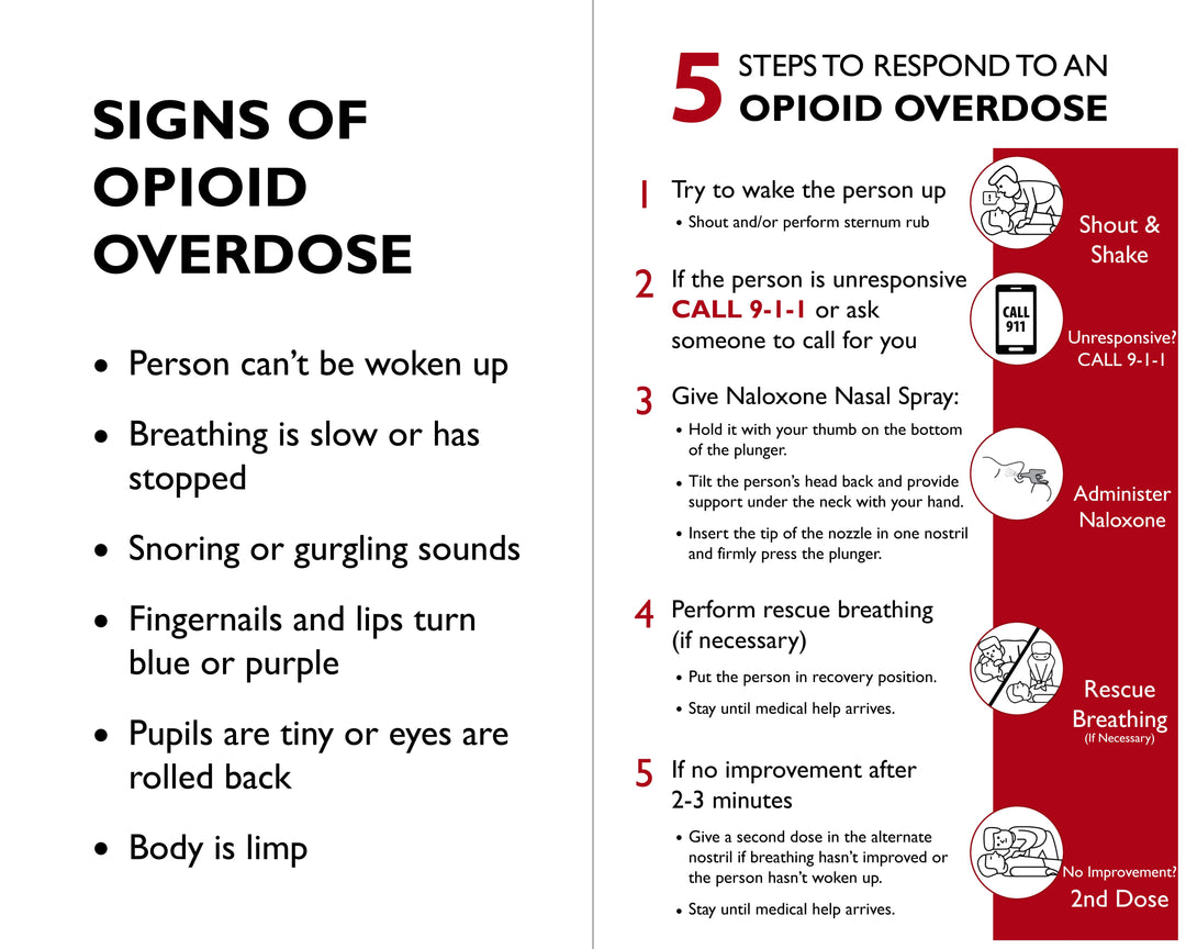 FYL Test Strip Opioid Overdose Prevention Kit - Includes 5 FYL Test Strips, Hardshell Case, Mixing Container, 10mg Spoon and Instructions